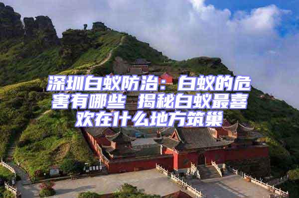 深圳白蟻防治：白蟻的危害有哪些 揭秘白蟻最喜歡在什么地方筑巢