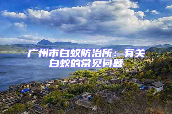 廣州市白蟻防治所:有關(guān)白蟻的常見(jiàn)問(wèn)題