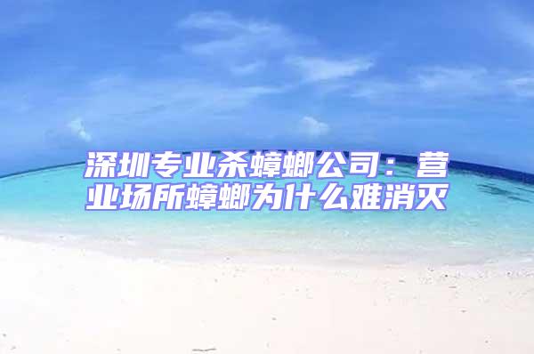 深圳專業(yè)殺蟑螂公司:營(yíng)業(yè)場(chǎng)所蟑螂為什么難消滅