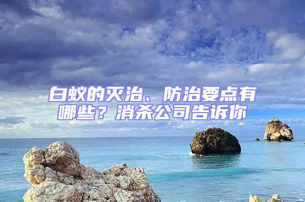 白蟻的滅治、防治要點有哪些？消殺公司告訴你