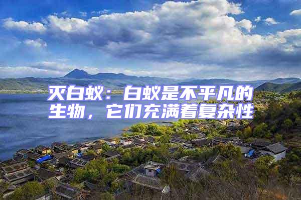 滅白蟻:白蟻是不平凡的生物,它們充滿著復(fù)雜性