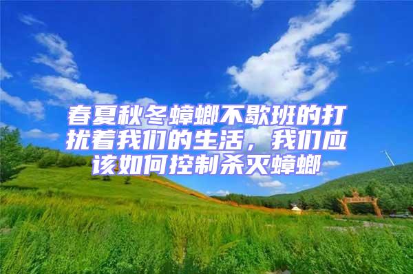 春夏秋冬蟑螂不歇班的打擾著我們的生活,我們應(yīng)該如何控制殺滅蟑螂
