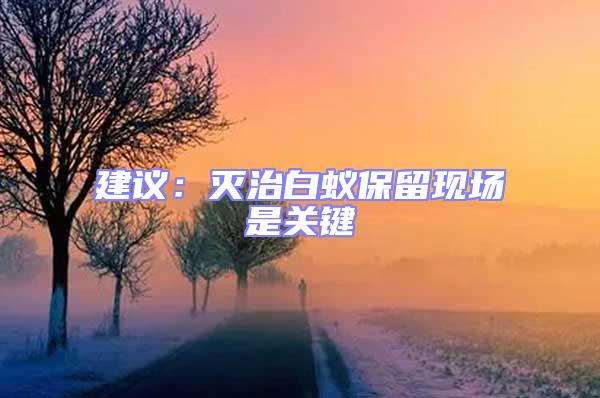 建議:滅治白蟻保留現場是關鍵