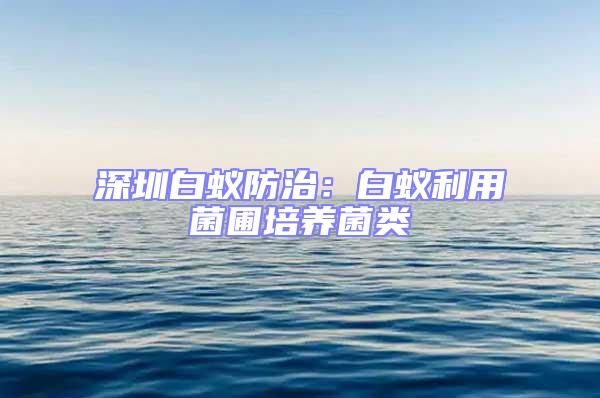 深圳白蟻防治:白蟻利用菌圃培養(yǎng)菌類(lèi)