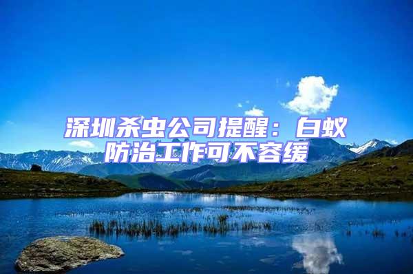 深圳殺蟲公司提醒:白蟻防治工作可不容緩