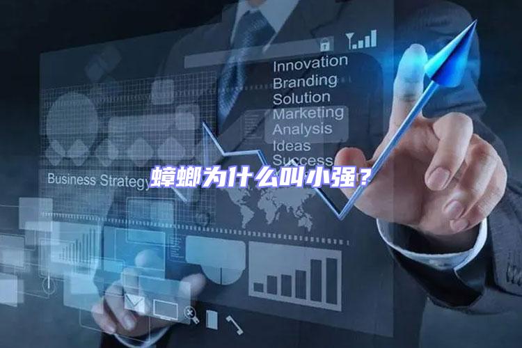 蟑螂為什么叫小強(qiáng)?