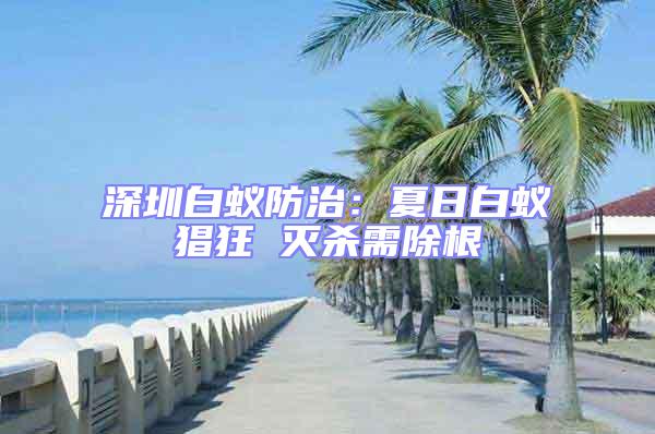 深圳白蟻防治:夏日白蟻猖狂 滅殺需除根