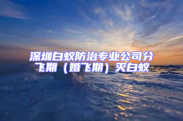 深圳白蟻防治專業(yè)公司分飛期(婚飛期)滅白蟻