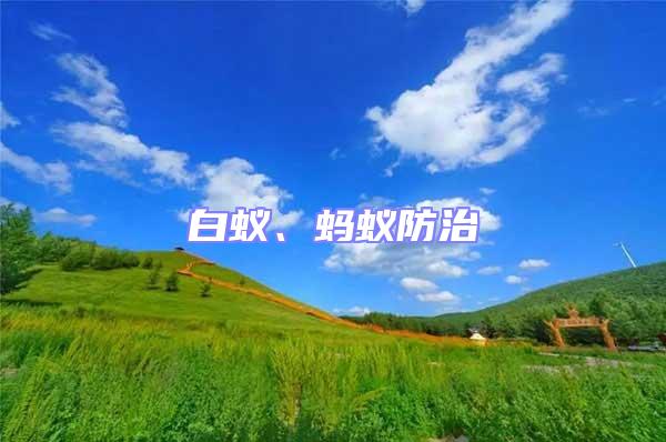 白蟻、螞蟻防治