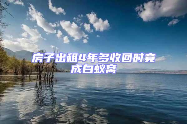 房子出租4年多收回時(shí)竟成白蟻窩