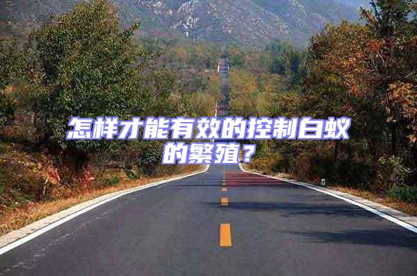 怎樣才能有效的控制白蟻的繁殖？