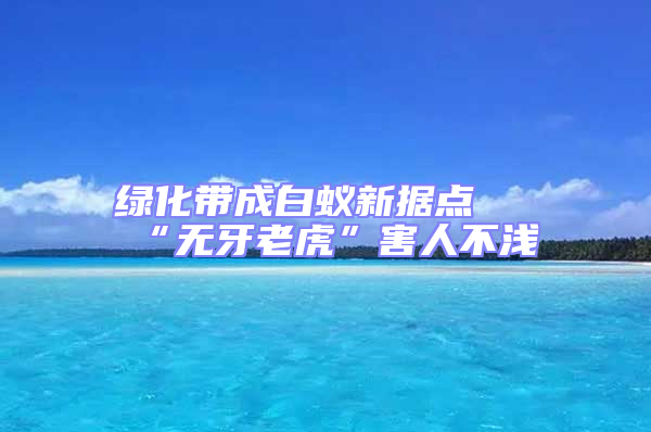 綠化帶成白蟻新?lián)c(diǎn) “無(wú)牙老虎”害人不淺