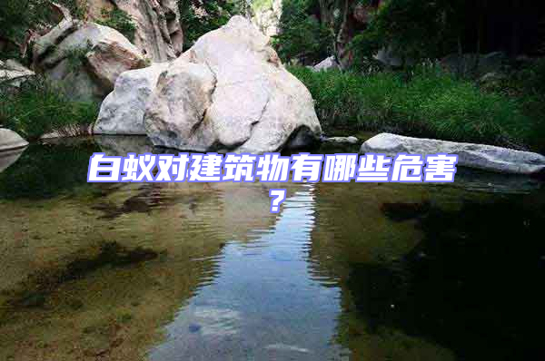 白蟻對建筑物有哪些危害?