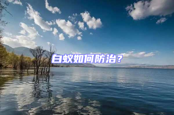 白蟻如何防治?