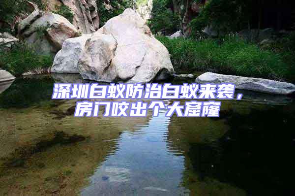 深圳白蟻防治白蟻來襲,房門咬出個大窟窿