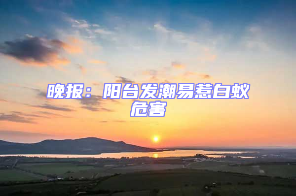 晚報:陽臺發(fā)潮易惹白蟻危害