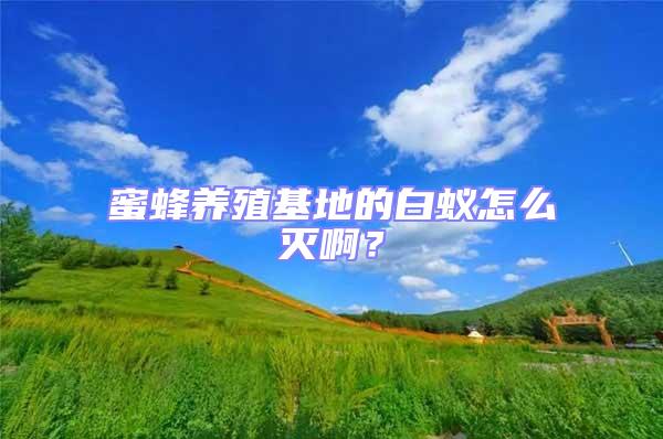 蜜蜂養殖基地的白蟻怎么滅啊?