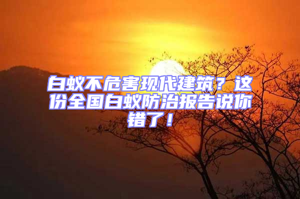 白蟻不危害現代建筑?這份全國白蟻防治報告說你錯了!