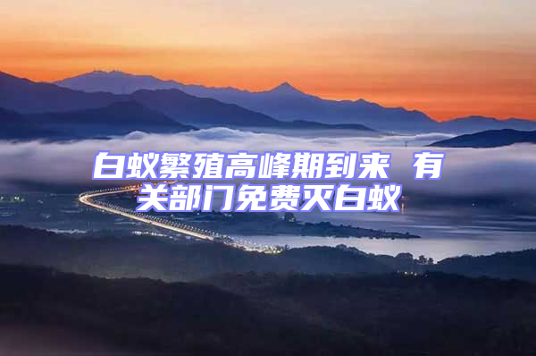白蟻繁殖高峰期到來(lái) 有關(guān)部門(mén)免費(fèi)滅白蟻