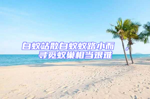 白蟻站散白蟻蟻路小而骫骳,尋覓蟻巢相當(dāng)艱難