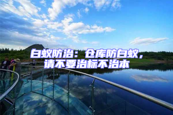 白蟻防治:倉庫防白蟻,請不要治標(biāo)不治本