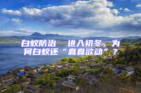 白蟻防治  進入初冬,為何白蟻還“蠢蠢欲動”?