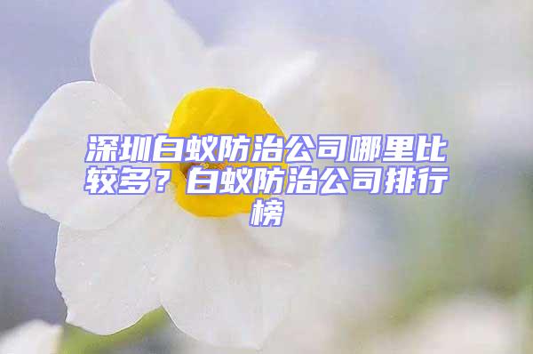 深圳白蟻防治公司哪里比較多?白蟻防治公司排行榜