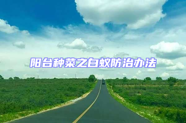 陽臺(tái)種菜之白蟻防治辦法