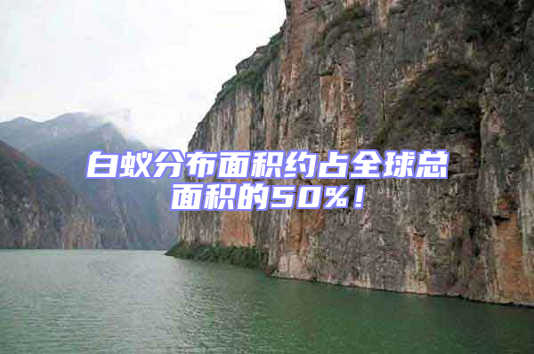 白蟻分布面積約占全球總面積的50%！
