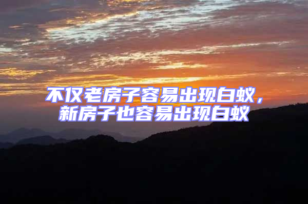 不僅老房子容易出現白蟻，新房子也容易出現白蟻