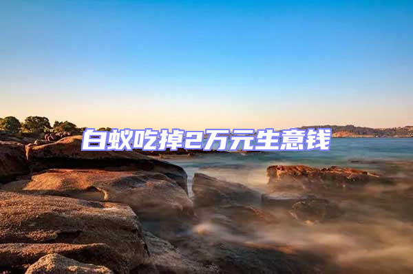 白蟻吃掉2萬(wàn)元生意錢(qián)