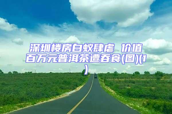 深圳樓房白蟻肆虐 價(jià)值百萬元普洱茶遭吞食(圖)(1)