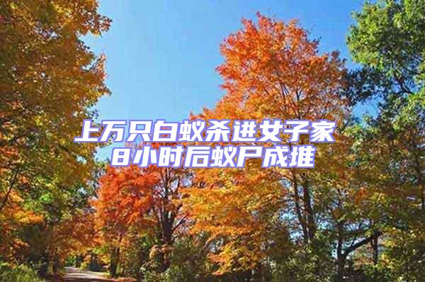 上萬(wàn)只白蟻殺進(jìn)女子家 8小時(shí)后蟻尸成堆