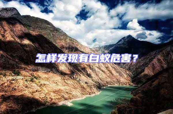 怎樣發(fā)現(xiàn)有白蟻危害?