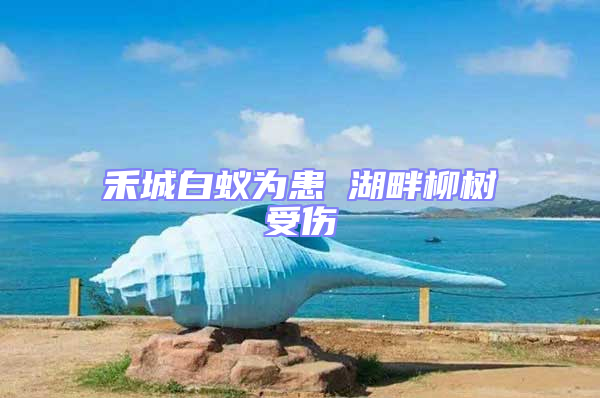 禾城白蟻為患 湖畔柳樹(shù)受傷