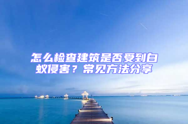 怎么檢查建筑是否受到白蟻侵害？常見方法分享
