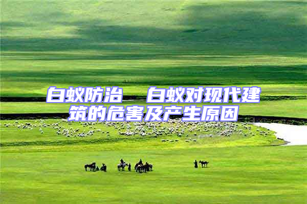 白蟻防治 白蟻對現代建筑的危害及產生原因