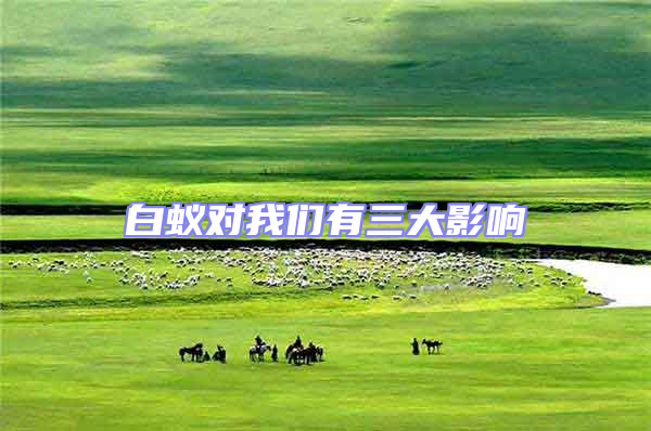 白蟻對我們有三大影響