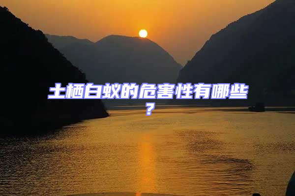 土棲白蟻的危害性有哪些?