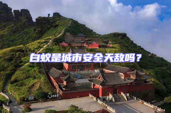 白蟻是城市安全天敵嗎？