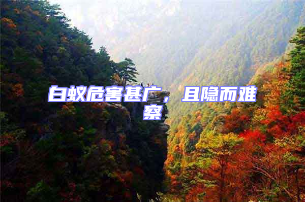 白蟻危害甚廣，且隱而難察