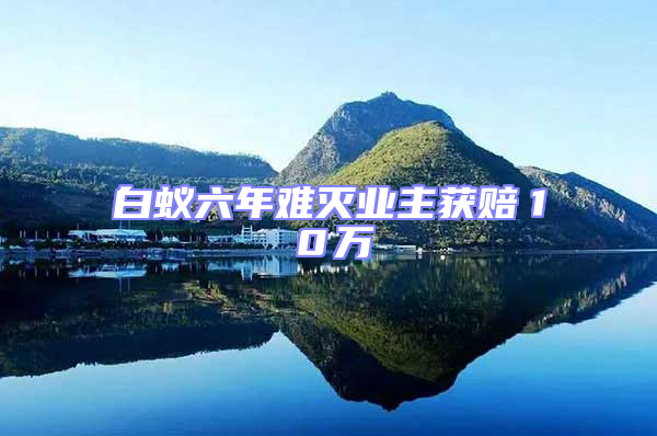 白蟻六年難滅業(yè)主獲賠１０萬(wàn)