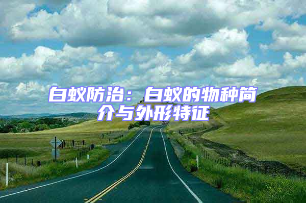 白蟻防治:白蟻的物種簡介與外形特征