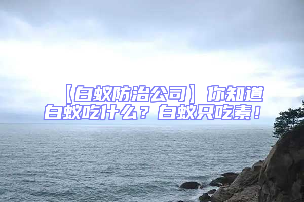 【白蟻防治公司】你知道白蟻吃什么?白蟻只吃素!