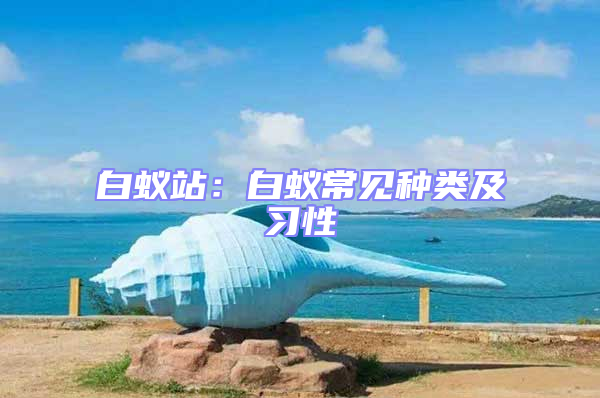 白蟻站:白蟻常見種類及習(xí)性