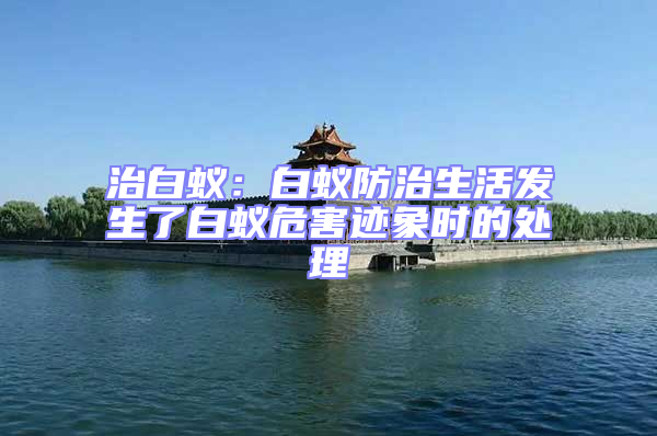 治白蟻:白蟻防治生活發生了白蟻危害跡象時的處理