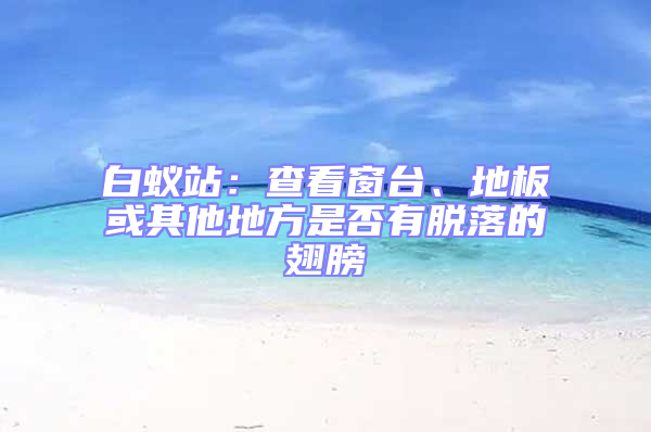 白蟻站：查看窗臺(tái)、地板或其他地方是否有脫落的翅膀