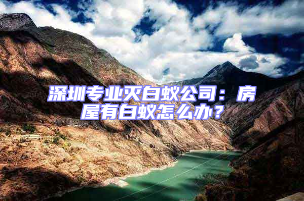 深圳專業滅白蟻公司:房屋有白蟻怎么辦?