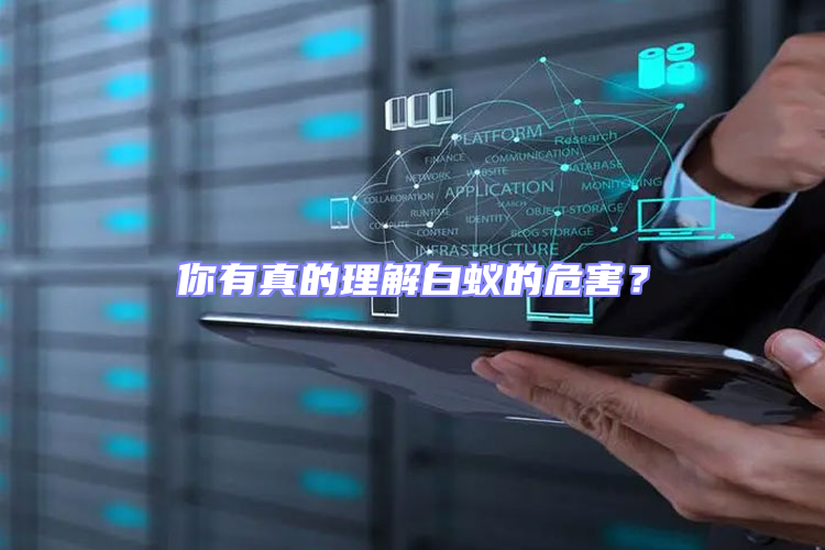 你有真的理解白蟻的危害?