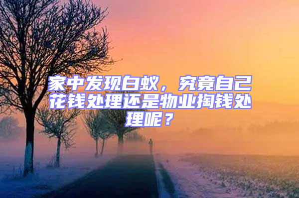 家中發現白蟻,究竟自己花錢處理還是物業掏錢處理呢?